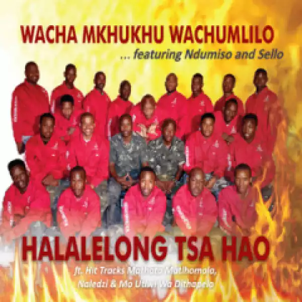 Wacha Mkhukhu Wachumlilo - Naledzi